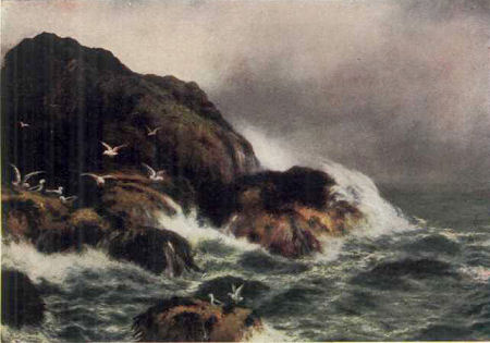 THE CALEDONIAN COAST. From Painting by D. Sherrin.