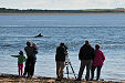 Chanonry Point