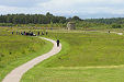 Culloden Battlefield