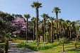 Logan Botanic Garden