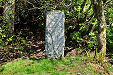 Raasay Pictish Stone