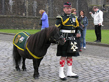 Regimental Mascot, Stirling Castle