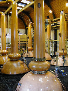 The Stills at Glenmorangie Distillery