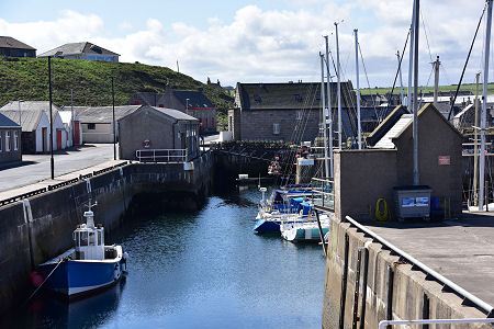 Another View of the Harbour