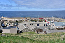 Looking Over the Harbour