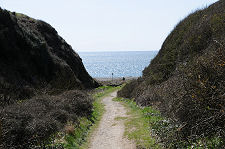 Valley Path Leading to Beach