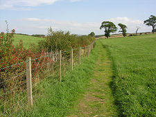 Field Path Along Valley Bottom