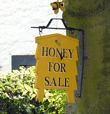 Honey for Sale